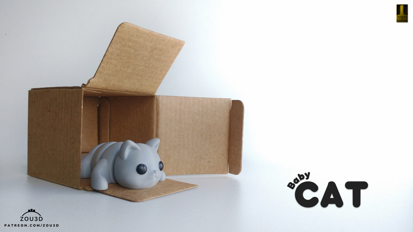 Gato Miniatura
